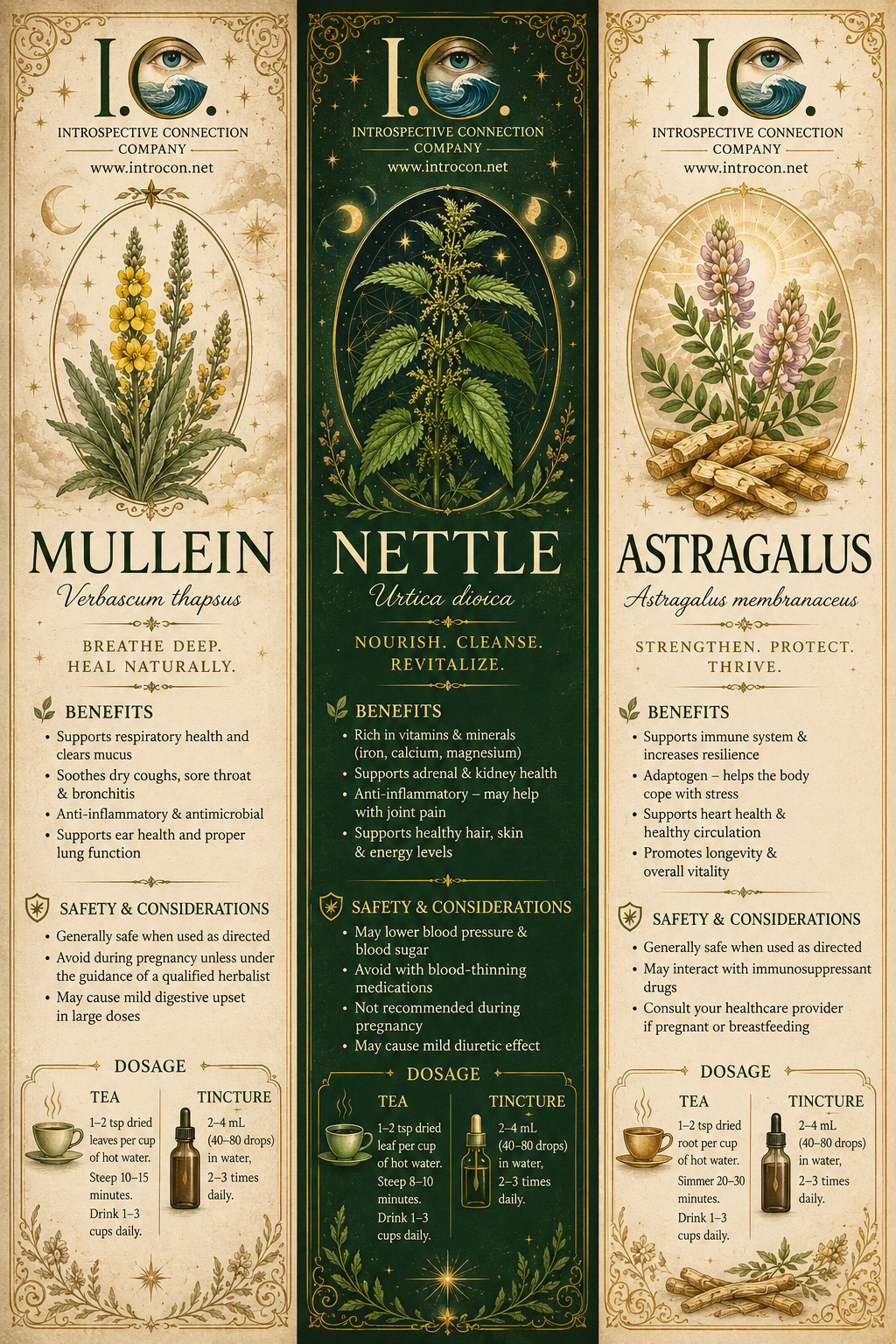 Herbal Tinctures (2oz)
