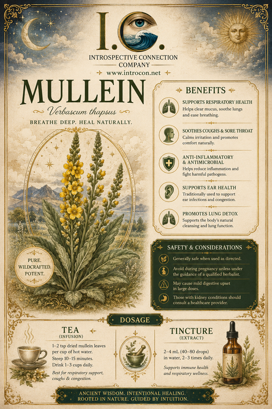 Mullein (Loose Tea & Tea Bags)